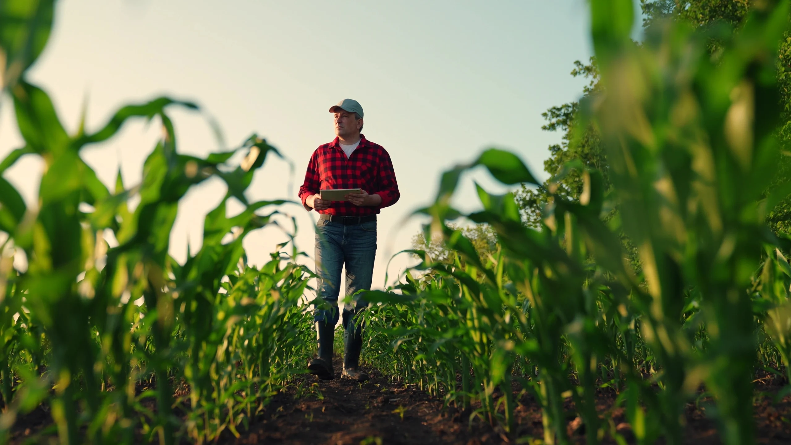 Farm Insurance Vermont